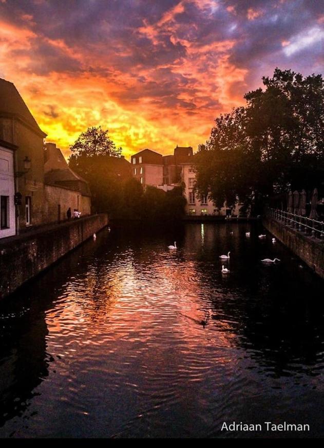 Canal Central Brugge Kültér fotó